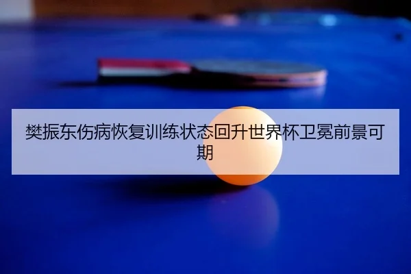 fan-zhen-dong-shang-bing-hui-fu-xun-lian-zhuang-tai-hui-sheng-shi-jie-bei-wei-mian-qian-jing-ke-qi-2-335.jpg