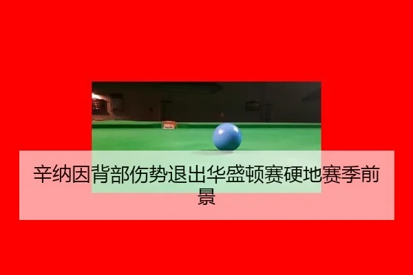 辛纳因背部伤势退出华盛顿赛硬地赛季前景